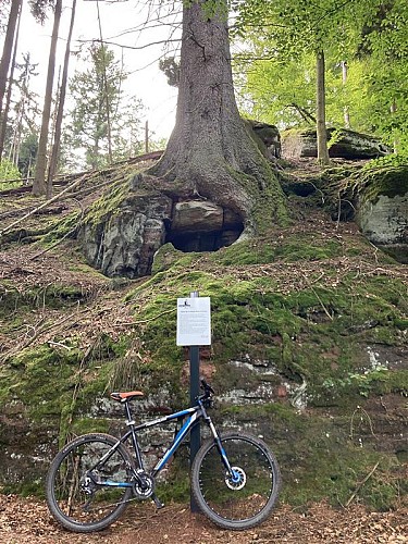 Rundweg See von Donnenbach