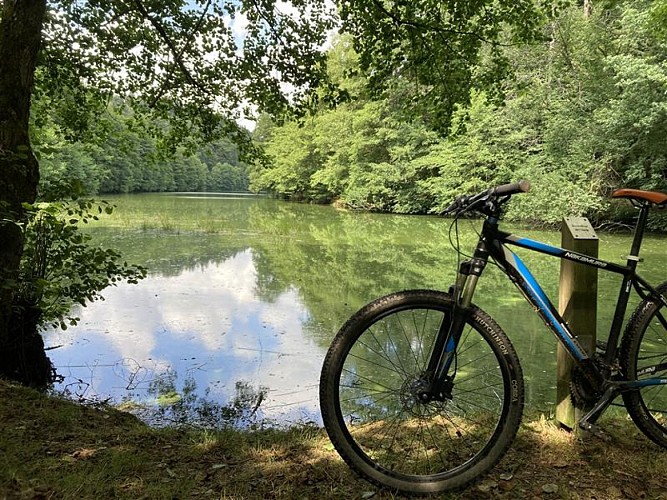 Donnenbach lake loop
