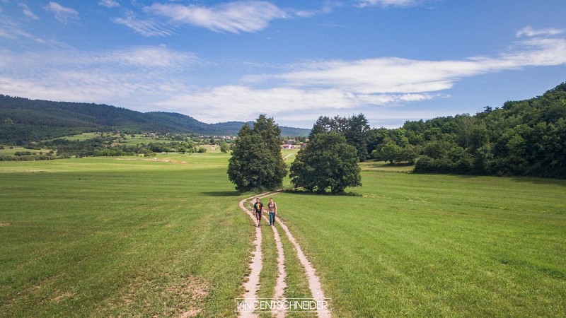 Randonneurs dans les prairies à proximité de Wintzfelden
