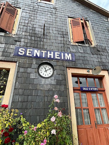 Randonnée Sentheim : Entre la Doller et le Soultzbach - Circuit court