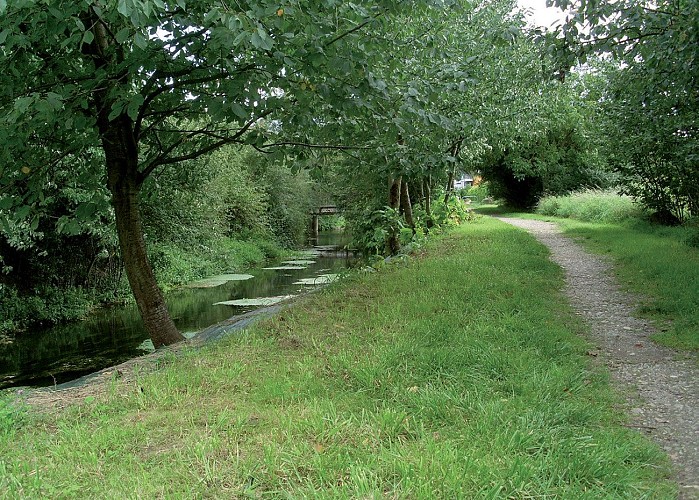 Along the Ill and Dollerbaechlein rivers