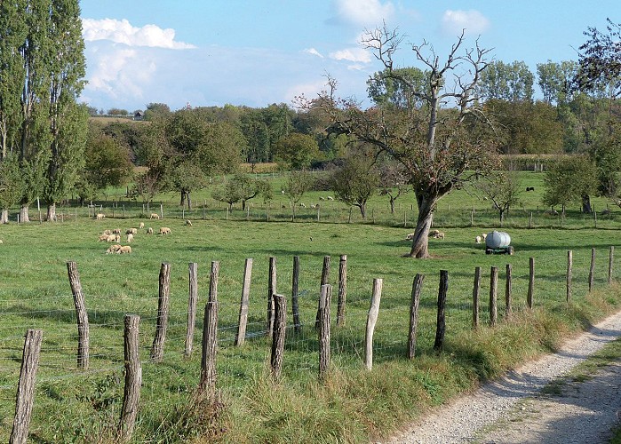Rundweg Rixheim Hills