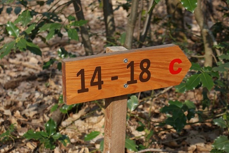 Balisage du circuit 1914-1918 de Steinbach