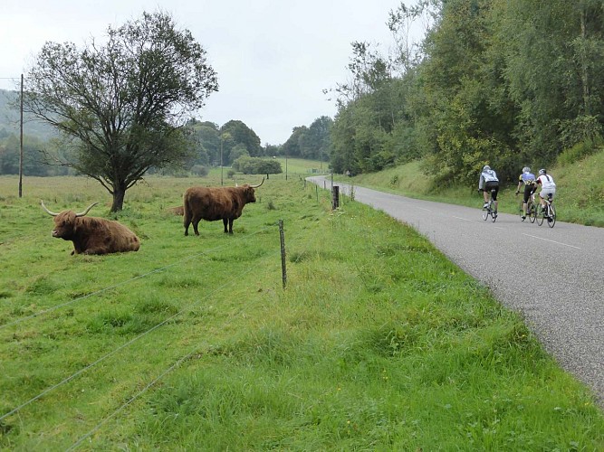 Balade à vélo au fil de la ligne Maginot, Alsace