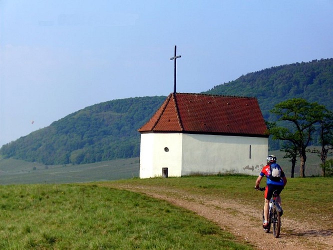 A vtt au Bollenberg