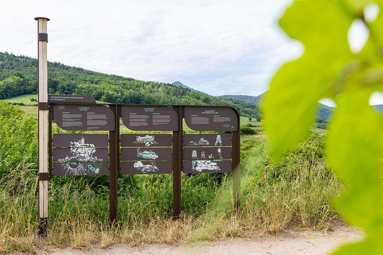 Sentier viticole Géovino