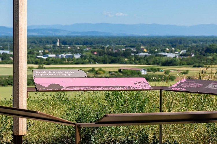 Sentier viticole Géovino