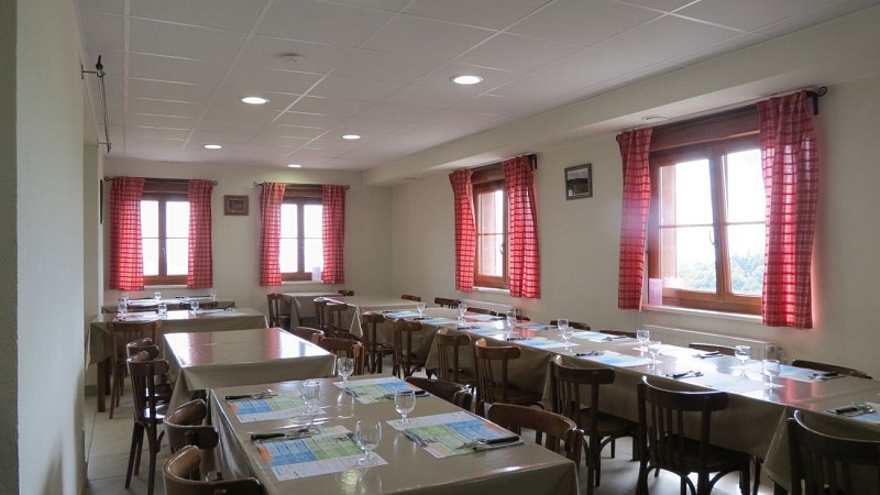 Balade ferme-auberge Wissgrut : Des hêtres sortis tout droit des contes