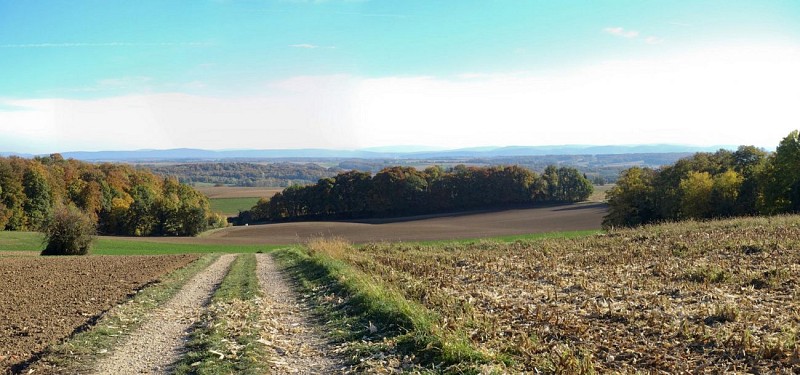 Panorama sur le massif du Jura