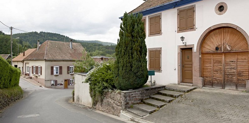 Cycling circuit C03: Around Plaine