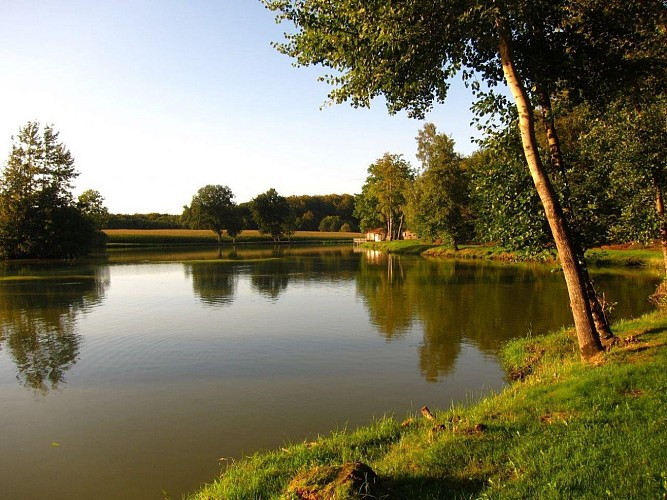 Etang du Stoffelsweiher