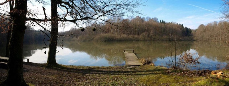 Etang du Buergerweiher