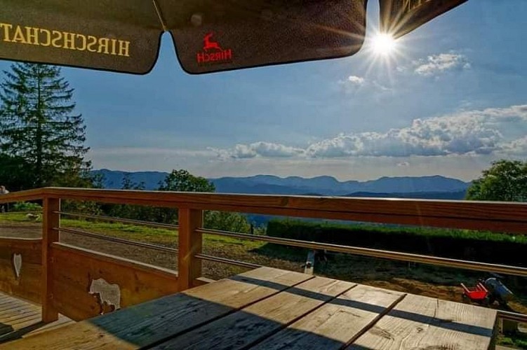 La vue de la terrasse