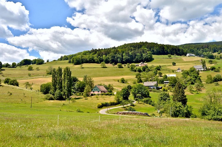 Wanderung - auf den Anhöhen von Lapoutroie