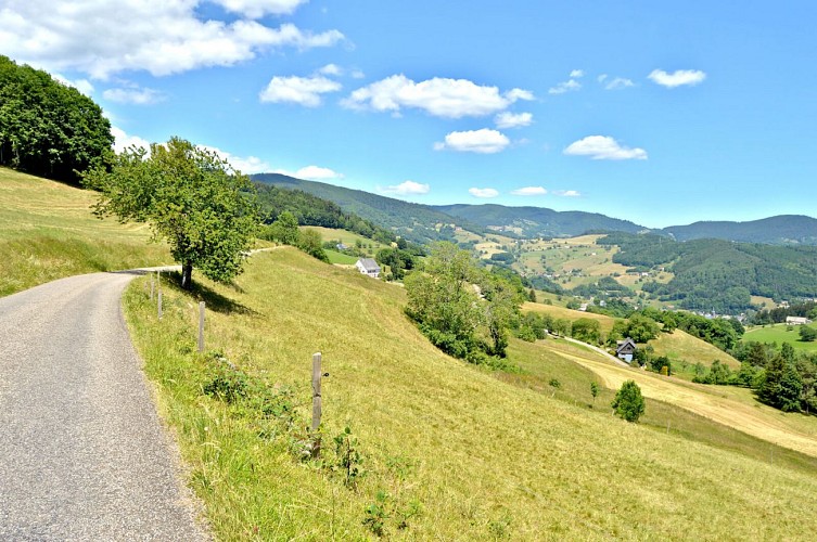 Hiking tour - on the heights of Lapoutroie
