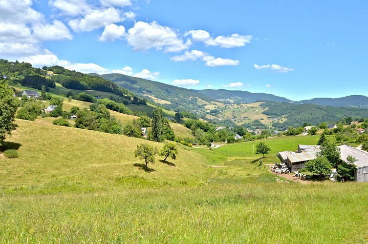 Hiking tour - on the heights of Lapoutroie