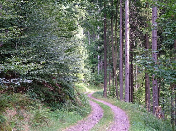 Rundwanderung B08 : "La marbrière"  Ein Steinbruch aus vergangenen Zeiten