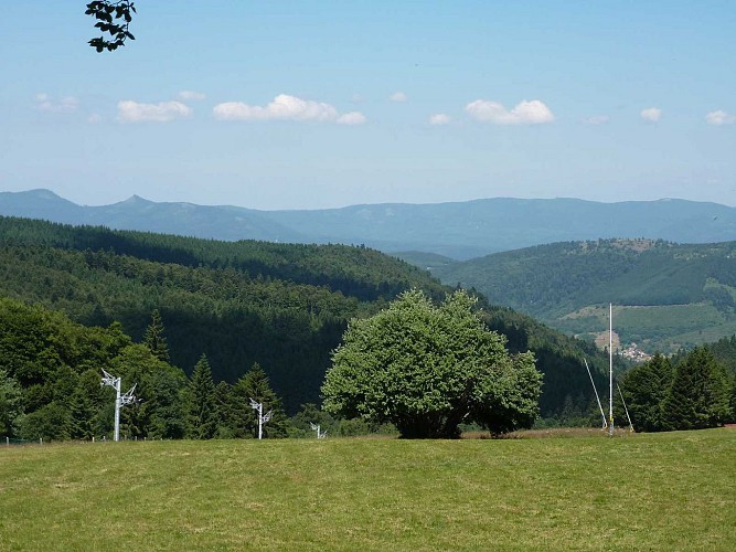 Rundwanderung CDF06 :Rund um die Hochebene des Champ du Feu