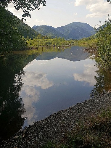 ECOBALADE - Autour de la tourbière du See