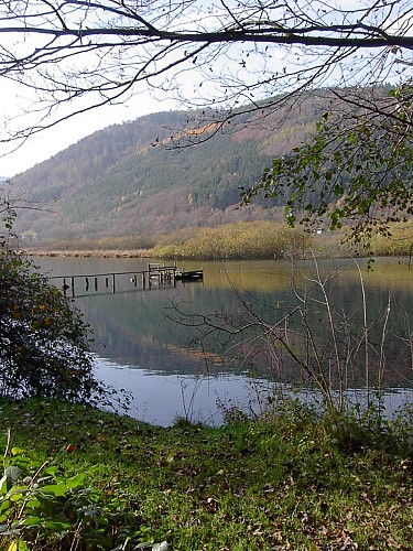 ECOBALADE - Autour de la tourbière du See