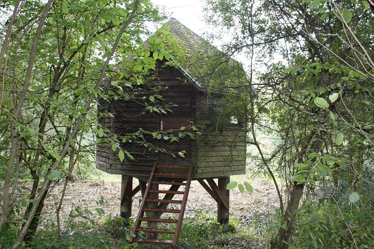 Randonnée de la piscine au plan d'eau de Reichshoffen, Niederbronn-les-Bains, Alsace