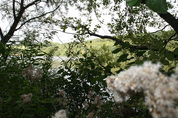 Randonnée de la piscine au plan d'eau de Reichshoffen, Niederbronn-les-Bains, Alsace