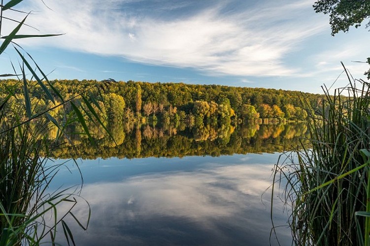 Randonnée de la piscine au plan d'eau de Reichshoffen, Niederbronn-les-Bains, Alsace
