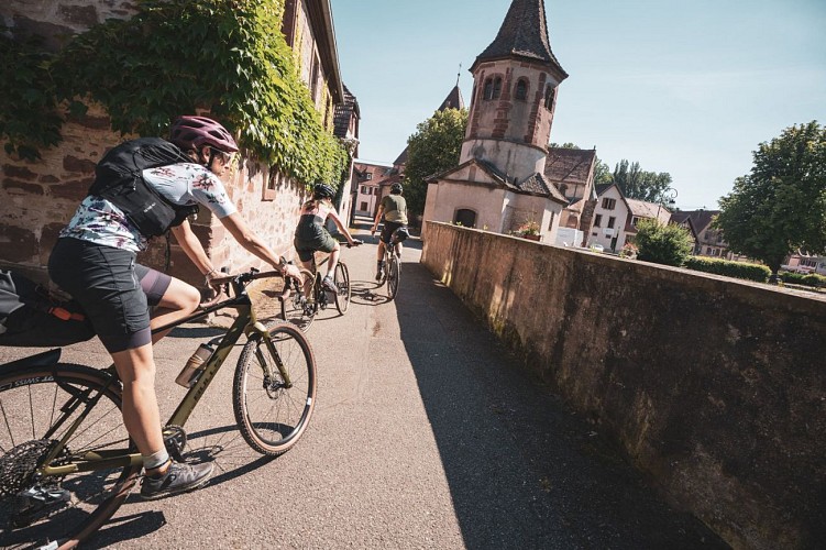 Radtour Weinberg Couronne d'Or 30km