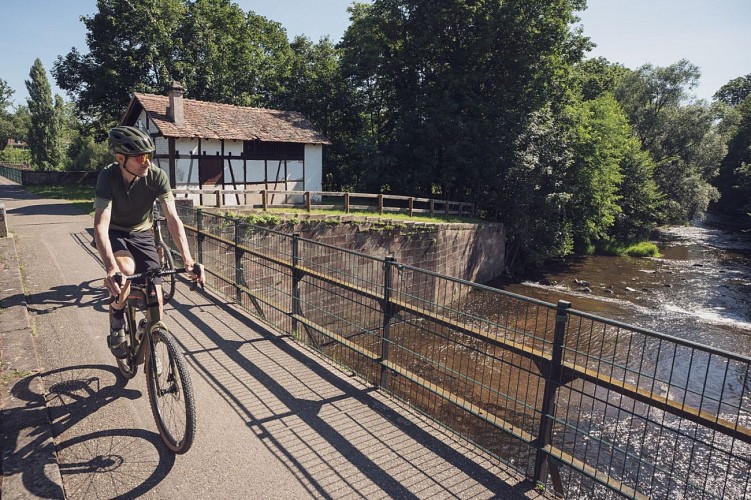 Radtour Weinberg Couronne d'Or 30km