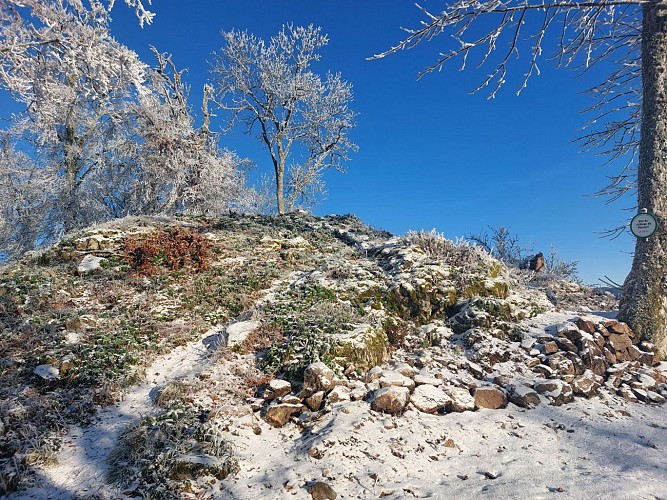 The Montori historic trail