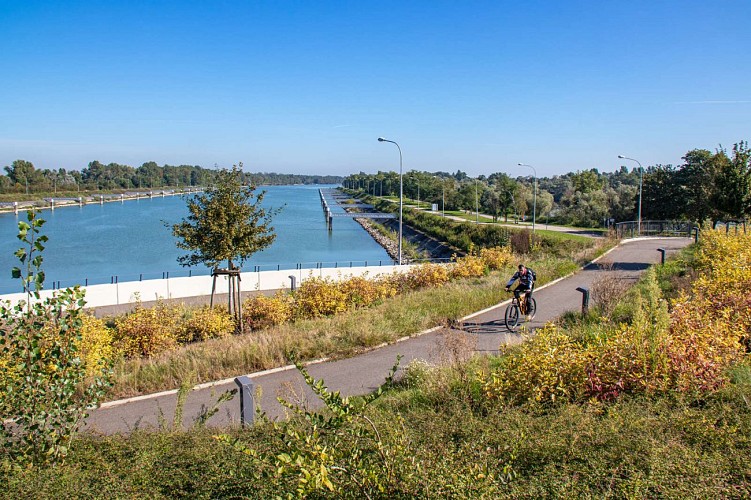 Barrage de Gambsheim