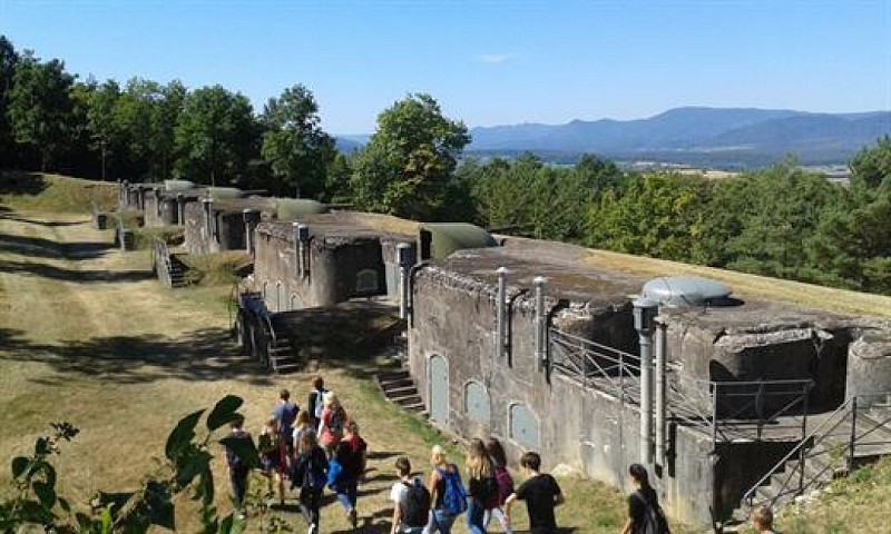 Randonnée Vers le géant - le fort de Mutzig à Molsheim