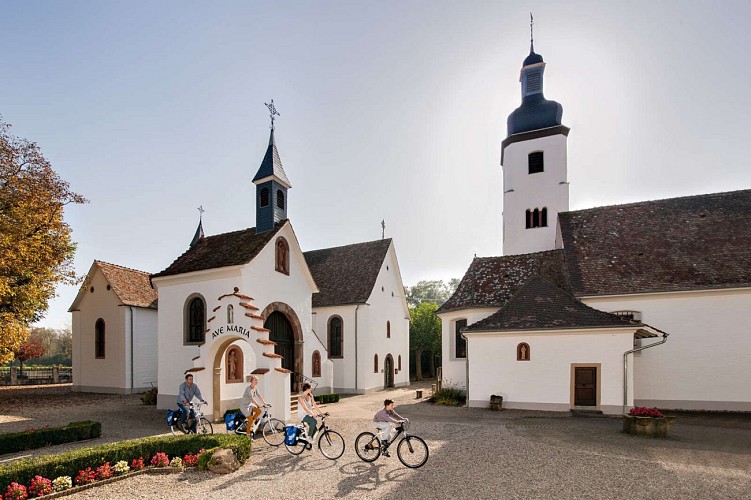 EuroVelo 15 - Der Rheinradweg