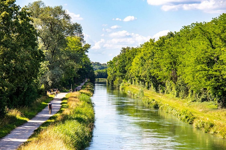 EuroVelo 15 - Véloroute Rhin