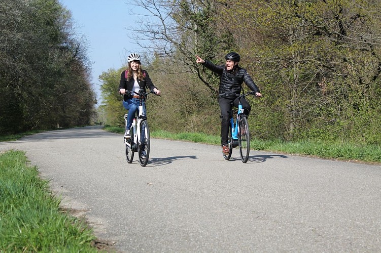 Bike tour: le Rhénan
