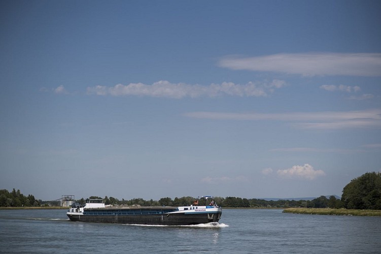 Circuit vélo : le Rhénan