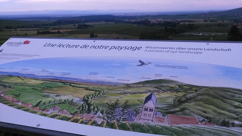 Stopover in Itterswiller: vineyard and belvedere