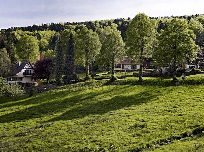 Rundwanderung C15 : Rund um dem col de la Perheux