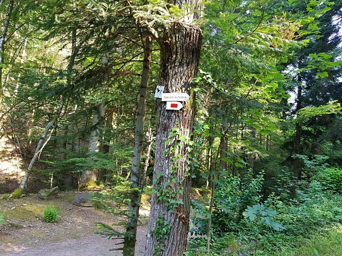 Randonnée du Nideck au Gensbourg à Oberhaslach