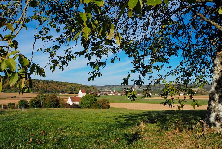 St Martin des Champs Oltingue