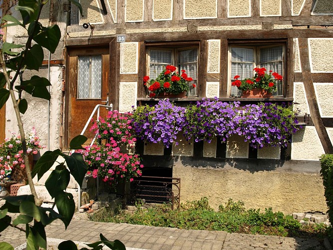 Village de Bouxwiller