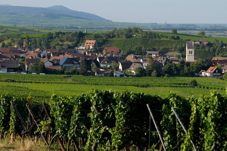 Entdeckungstour durch Mittelwihr