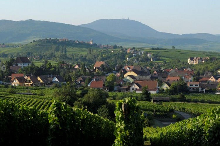 Entdeckungstour durch Mittelwihr