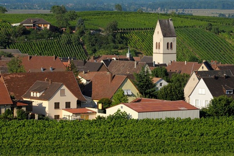 Entdeckungstour durch Mittelwihr