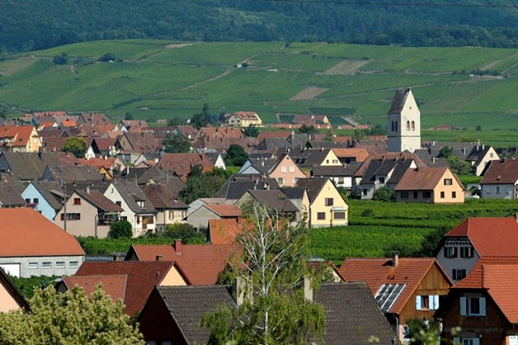 Circuit de découverte de Mittelwihr