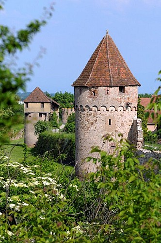 Circuit des remparts de Bergheim