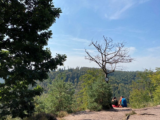 Sentier des 3 rochers