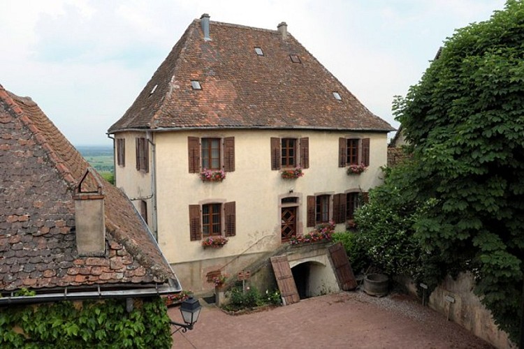 Entdeckungstour durch Zellenberg