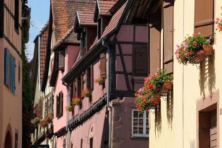 Entdeckungstour durch Zellenberg