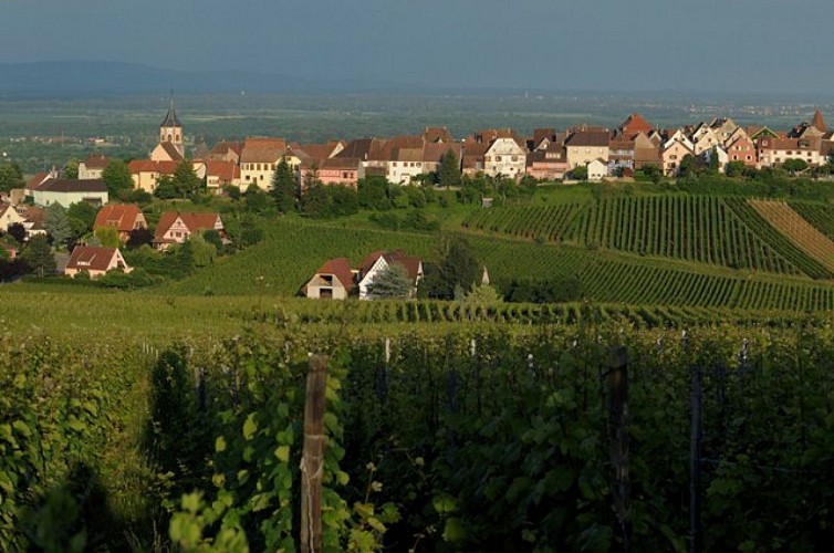 Entdeckungstour durch Zellenberg